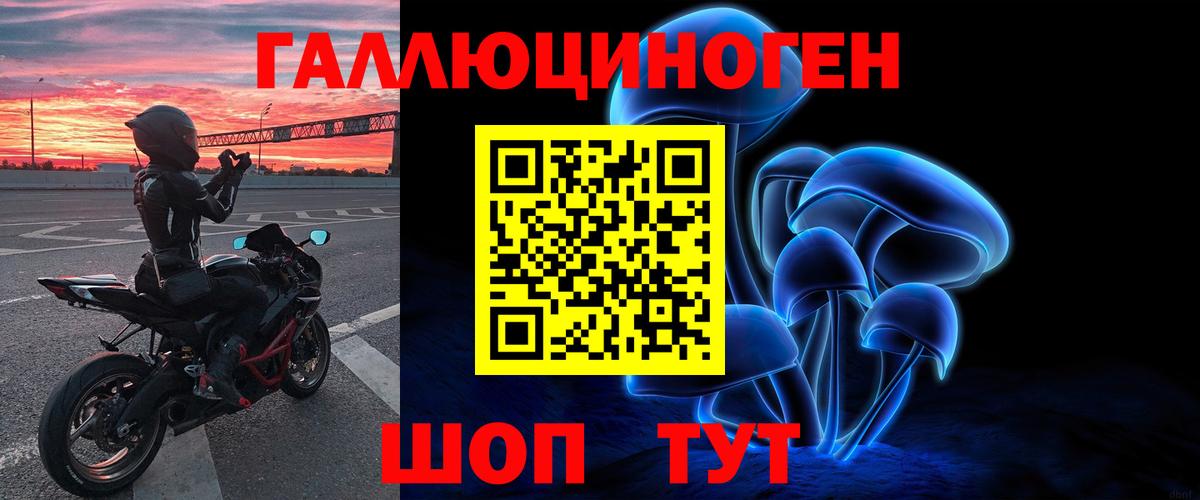 что такое наркотик  Псилоцибиновые грибы GOLDEN TEACHER  Вход с VPN  Зеленокумск 